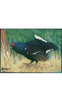 COQ DE BRUYERE(JVD Animal Face Blue-Grouse ) - ULYSSE ARCHERIE