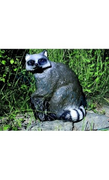 RATON(SRT Target 3D Raccoon ) - ULYSSE ARCHERIE