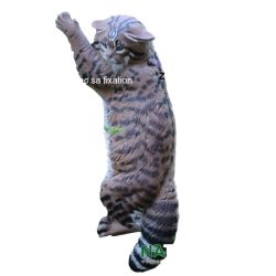 Bersaglio 3D gatto della foresta rampicante NATUR FOAM - ULYSSE ARCHERIE