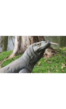 Cible Animal 3D Dragon de Komodo NATUR' FOAM - ULYSSE ARCHERIE