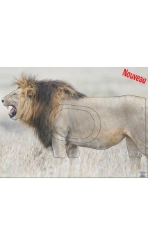 LION LCC ARCHERY - ULYSSE ARCHERIE