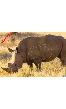 RHINOCEROS LCC ARCHERY - ULYSSE ARCHERIE