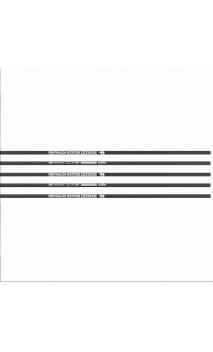 Shaft Carbon Penthalon Hunter Extreme BEARPAW - ULYSSE ARCHERIE
