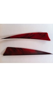 plume shield 4" Nuancé (TRE) LW GATEWAY FEATHERS - ULYSSE ARCHERIE