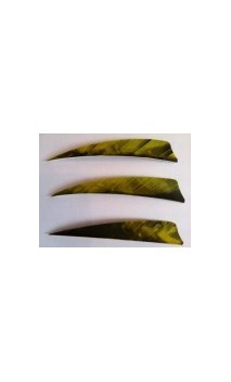 Pennacchi Naturelles Shield 4 "FEATHERS Camo GATEWAY RW - ULYSSE ARCHERIE