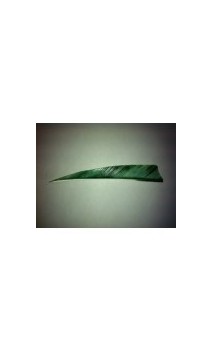 Federbüschen Naturelles Schirm 4 "Camo GATEWAY FEATHERS RW - ULYSSE ARCHERIE