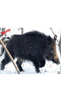 Cible Sanglier sous la neige LCC ARCHERY - ULYSSE ARCHERIE