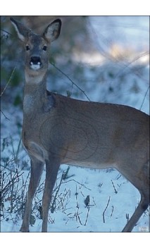 CHEVRETTE LCC ARCHERY - ULYSSE ARCHERIE