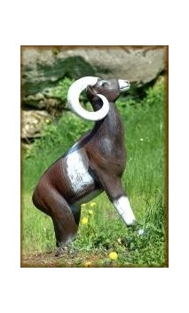 Cible 3D MOUFLON CORSE SRT Target - ULYSSE ARCHERIE