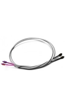 Cavo corto POWER Arco Phoenix Osprey ONEIDA - ULYSSE ARCHERIE