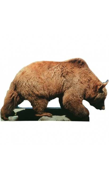 Orso bersaglio 2D Archer Targets - ULYSSE ARCHERIE