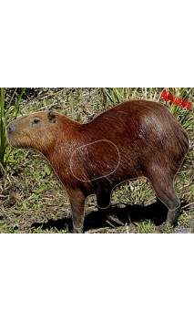 CAPYBARA - ULYSSE ARCHERIE