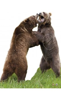 Objetivo de 2 Bears Fight 2D Archer Targets - ULYSSE ARCHERIE