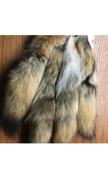 Coyote, cola, medieval, decoración - ULYSSE ARCHERIE