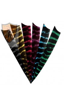 La pluma de Turquía Shield 5" RW Bearpaw - ULYSSE ARCHERIE