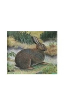 LAPIN (JVD Animal Face Rabbit) - ULYSSE ARCHERIE