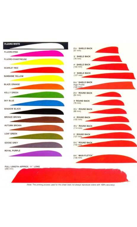 Natural Feathers 3" Shield TRUEFLIGHT FEATHERS - ULYSSE ARCHERIE