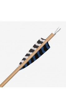 tubo de carbono TRADITIONAL CLASSIC XT .204 GOLD TIP - ULYSSE ARCHERIE