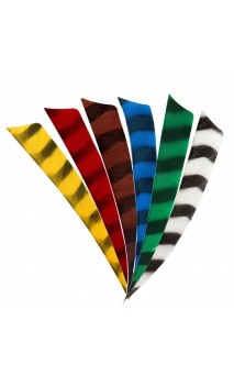 pluma natural 5" Shield tigre BEARPAW - ULYSSE ARCHERIE