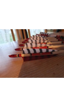 Lot de 12 flèches LEGACY Custom EASTON ARCHERY - ULYSSE ARCHERIE