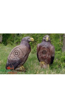 Cible 3D Aigle NATUR FOAM - ULYSSE ARCHERIE