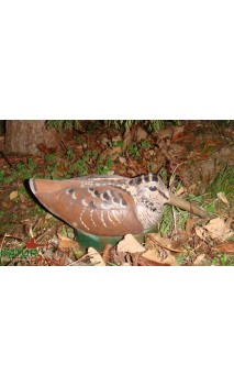bersaglio 3D Woodcock NATUR FOAM - ULYSSE ARCHERIE