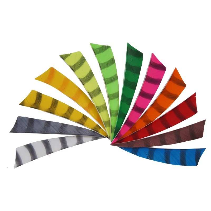 Natürliches Federschild 4" Tiger BEARPAW FEATHERS - ULYSSE ARCHERIE