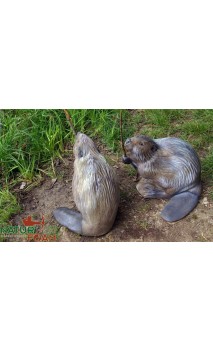 CASTOR NATUR FOAM - ULYSSE ARCHERIE