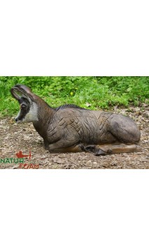 Cible Chamois Gite 3D NATUR FOAM - ULYSSE ARCHERIE