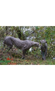 GUEPARD NATUR FOAM - ULYSSE ARCHERIE