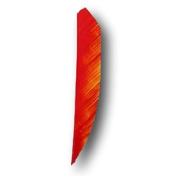 Natural Feathers Shield 4" FIRE CAMO OZARK FEATHER - ULYSSE ARCHERIE
