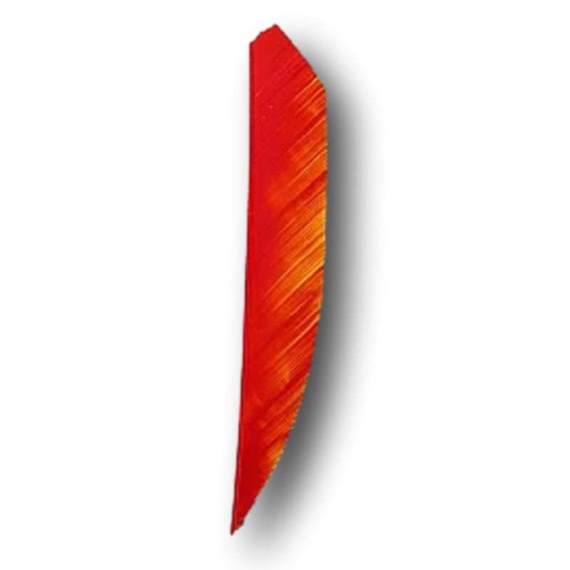 Naturfedern Schild 4" FIRE CAMO OZARK FEATHER - ULYSSE ARCHERIE