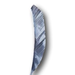Naturfedern Schild 4" FIRE CAMO OZARK FEATHER - ULYSSE ARCHERIE