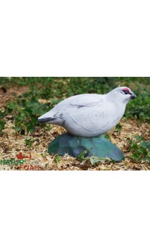 LAGOPEDE NATUR FOAM - ULYSSE ARCHERIE