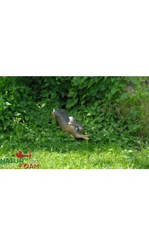 3D Natur Foam Race Target - ULYSSE ARCHERIE
