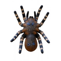 3D-Ziel Vogelspinne LEITOLD TARGET - ULYSSE ARCHERIE