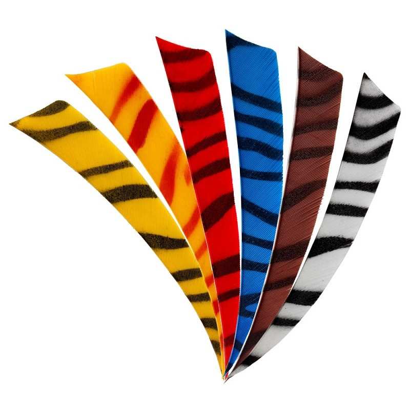 Plume Shield 5" Zébré ( ZEBRA) BEARPAW PRODUCTS - ULYSSE ARCHERIE
