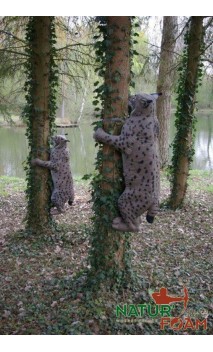 LYNX GRIMPANT NATUR FOAM - ULYSSE ARCHERIE