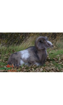 MOUFLON GITE NATUR FOAM - ULYSSE ARCHERIE