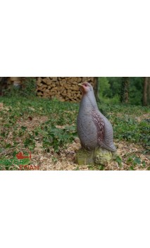 Cible 3D Perdrix Dressee NATUR FOAM - ULYSSE ARCHERIE