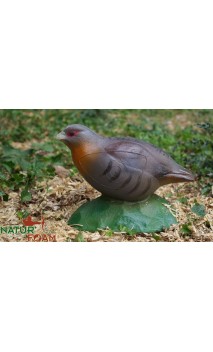 Cible 3d Perdrix NATUR FOAM - ULYSSE ARCHERIE