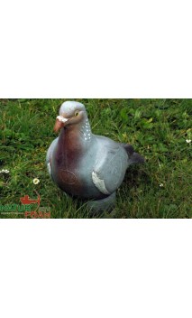 PIGEON NATUR FOAM - ULYSSE ARCHERIE