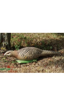 POULE FAISANE NATUR FOAM - ULYSSE ARCHERIE