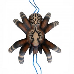 el objetivo 3D Tarántula pequeña LEITOLD TARGET - ULYSSE ARCHERIE