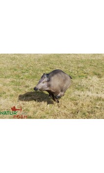 Cinghiale in esecuzione Bersaglio 3D NATUR FOAM - ULYSSE ARCHERIE