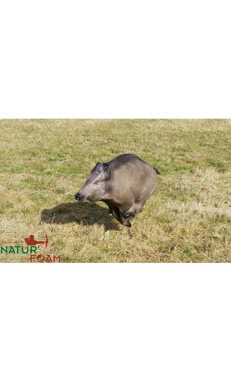 Blanco 3D de jabalí corriendo NATUR FOAM - ULYSSE ARCHERIE
