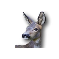 Diana 3D Brocade cabeza boca abajo NATUR FOAM - ULYSSE ARCHERIE