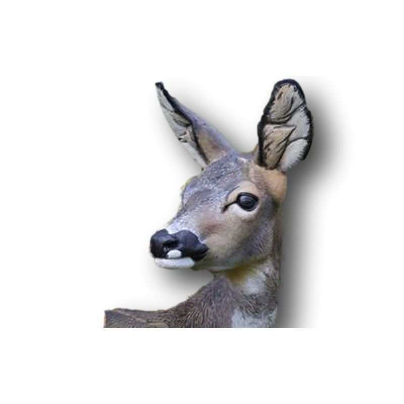 Cible 3D Tête Brocard Retournée NATUR FOAM - ULYSSE ARCHERIE