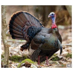 Objectivo de plástico para pavo NICE TARGET - ULYSSE ARCHERIE