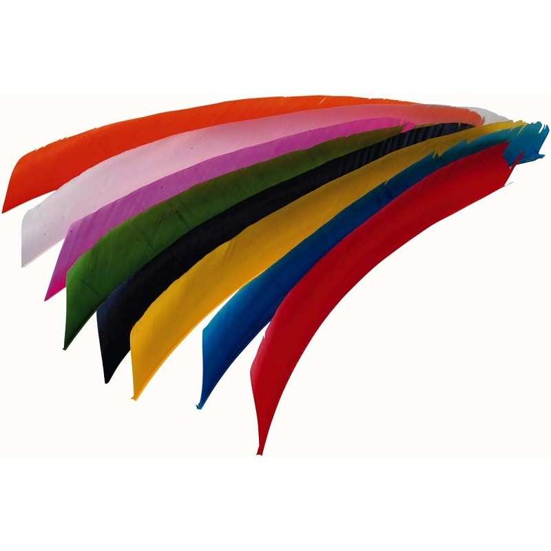 Full Lengh feathers (Flu-Flu) 8"-11" TRUEFLIGHT FEATHERS - ULYSSE ARCHERIE